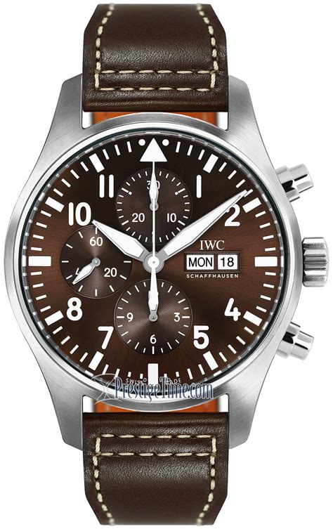 iw377713 Antoine De Saint Exupery IWC Pilot's 